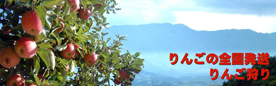 りんご狩り・信州りんごの通信販売は飯田市天竜峡の吉田屋農園